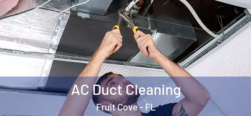  AC Duct Cleaning Fruit Cove - FL