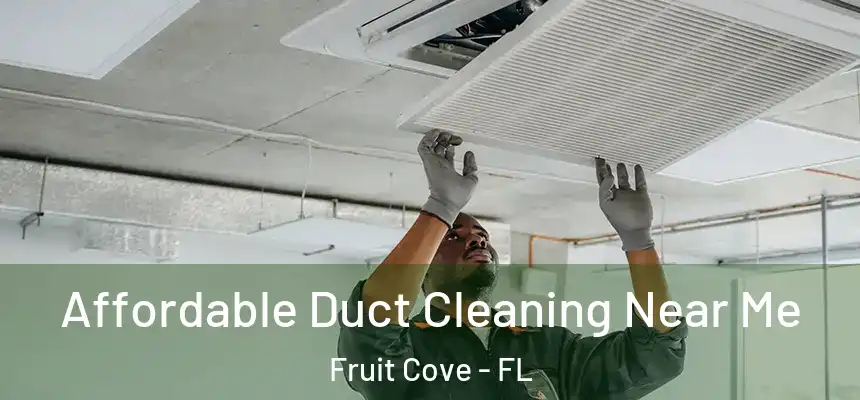  Affordable Duct Cleaning Near Me Fruit Cove - FL