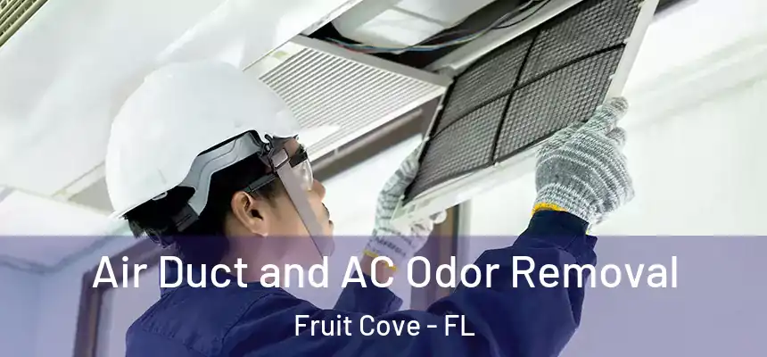  Air Duct and AC Odor Removal Fruit Cove - FL