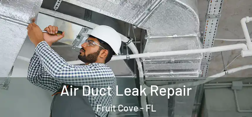  Air Duct Leak Repair Fruit Cove - FL