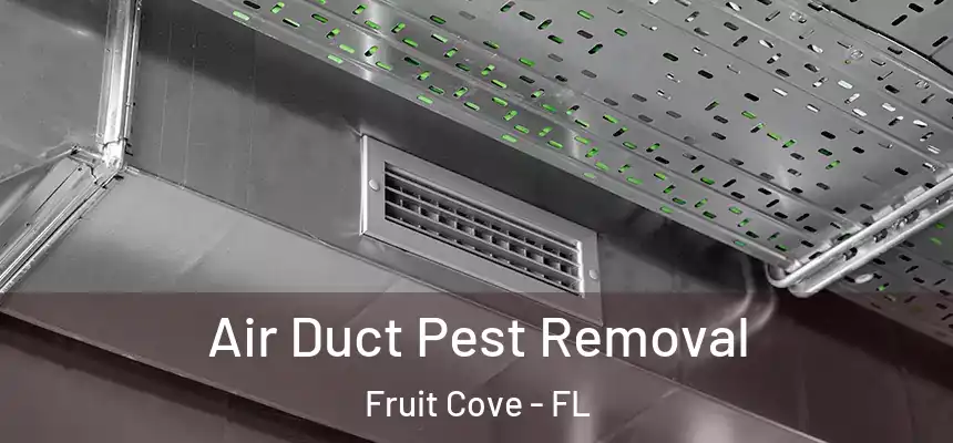  Air Duct Pest Removal Fruit Cove - FL