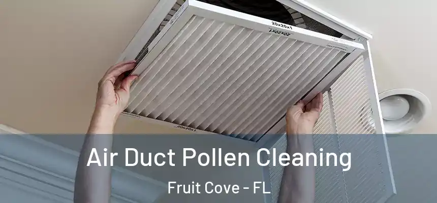  Air Duct Pollen Cleaning Fruit Cove - FL