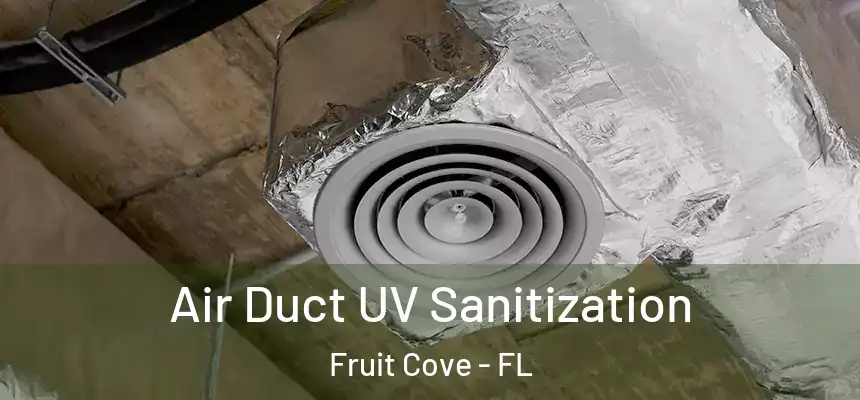  Air Duct UV Sanitization Fruit Cove - FL
