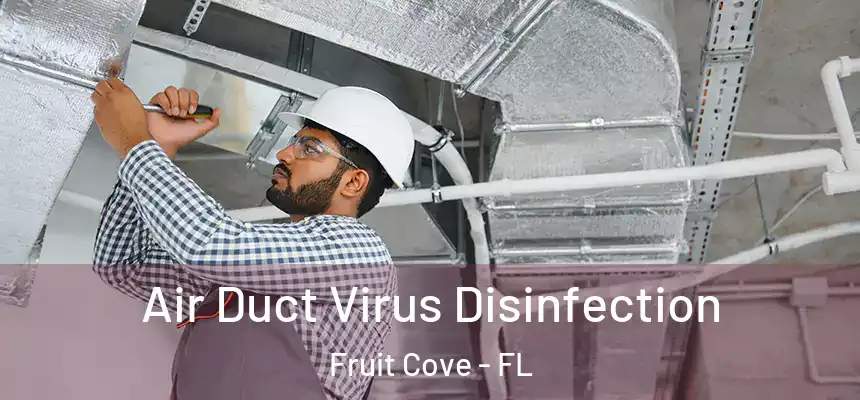 Air Duct Virus Disinfection Fruit Cove - FL