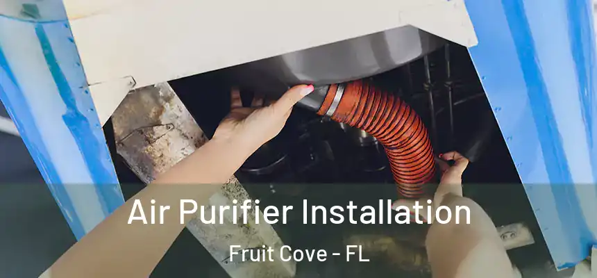  Air Purifier Installation Fruit Cove - FL