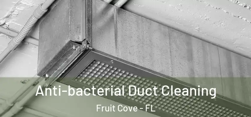 Anti-bacterial Duct Cleaning Fruit Cove - FL