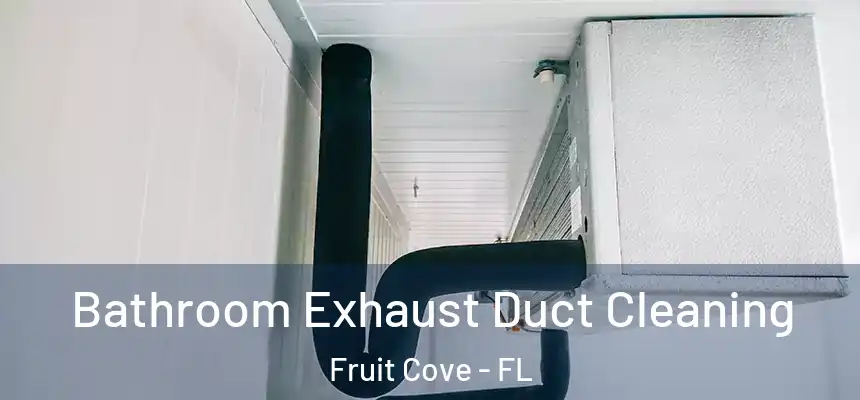 Bathroom Exhaust Duct Cleaning Fruit Cove - FL