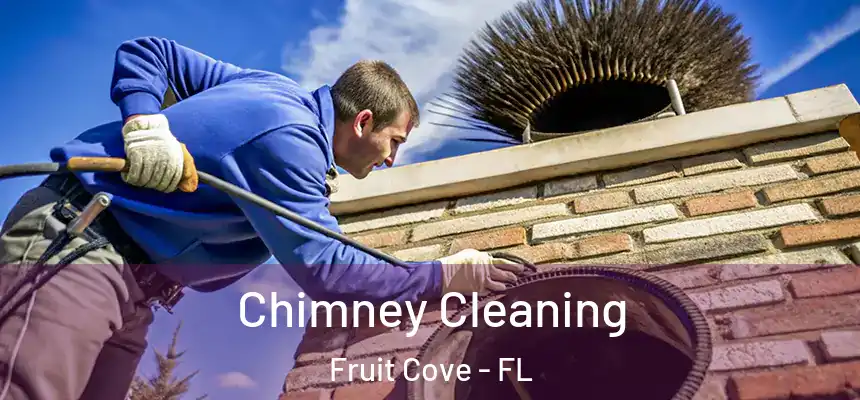 Chimney Cleaning Fruit Cove - FL