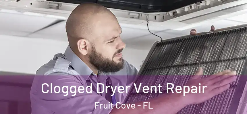  Clogged Dryer Vent Repair Fruit Cove - FL
