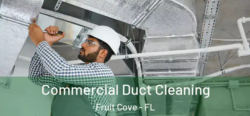 Commercial Duct Cleaning Fruit Cove - FL