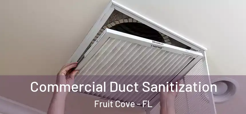  Commercial Duct Sanitization Fruit Cove - FL