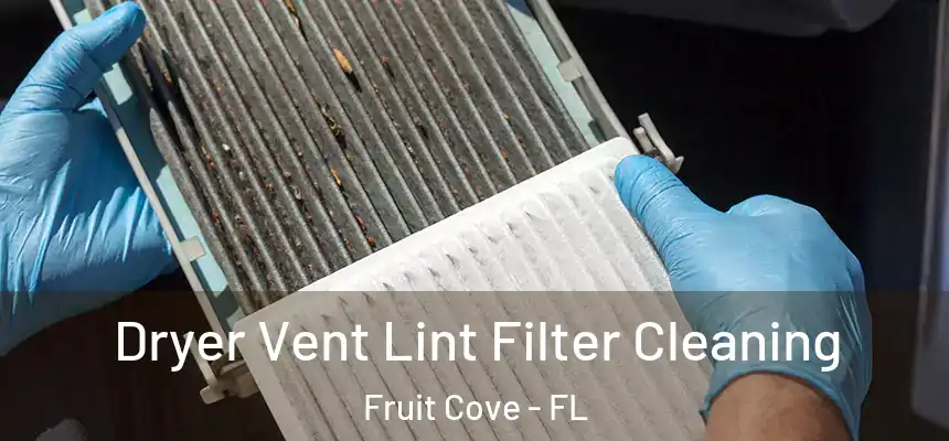  Dryer Vent Lint Filter Cleaning Fruit Cove - FL