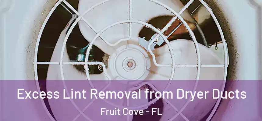  Excess Lint Removal from Dryer Ducts Fruit Cove - FL