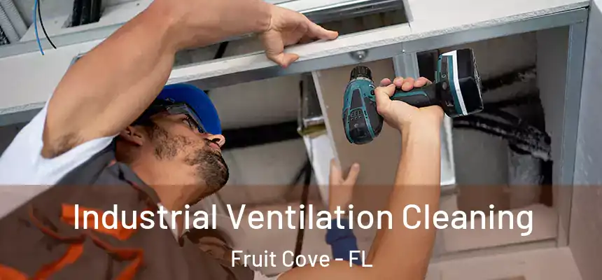 Industrial Ventilation Cleaning Fruit Cove - FL