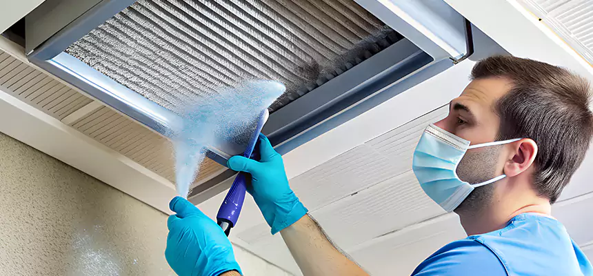 Proactive Dryer Vent & Auxiliary Duct Pollen Cleanup in Fruit Cove, FL