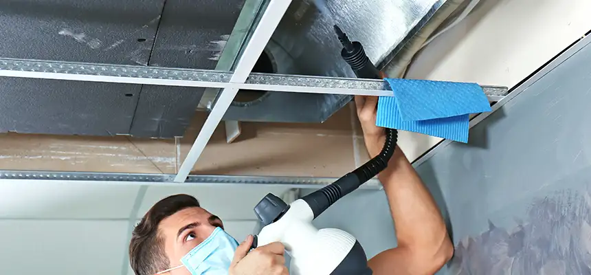 Our Air Duct Rodent Removal Services in Fruit Cove, FL