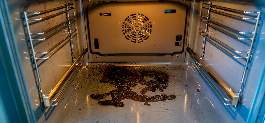 Our Dryer Vent Mold Cleaning Services in Fruit Cove, FL