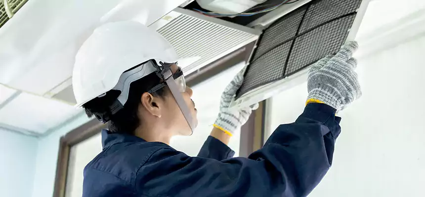 Our Mold & Mildew Removal from Air Ducts Services in Fruit Cove, FL