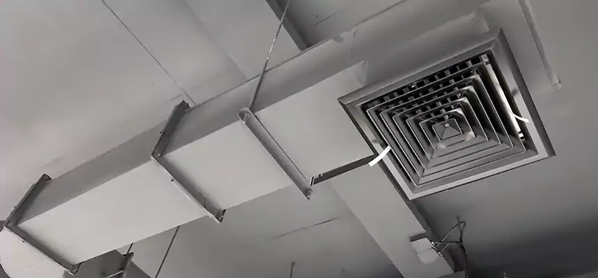 Our Pest Removal From Ducts Services in Fruit Cove, FL