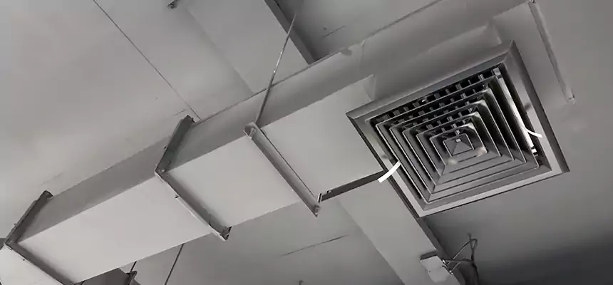 Our Rodent Droppings In Vents Services in Fruit Cove, FL