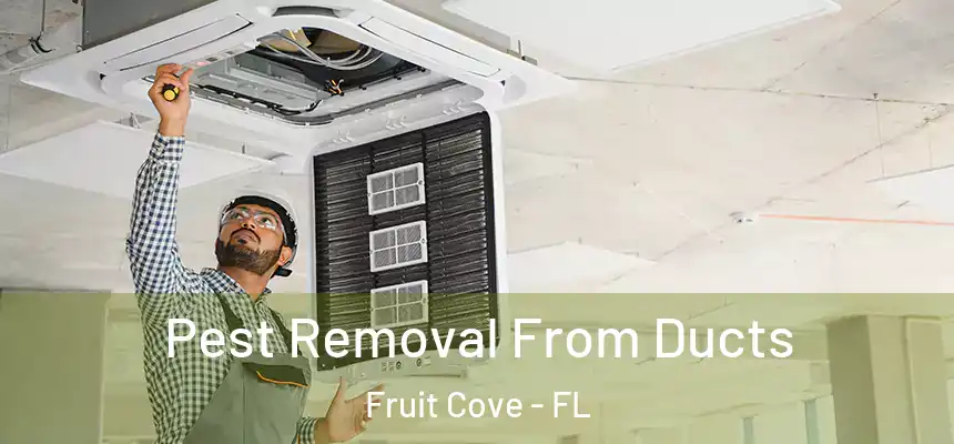Pest Removal From Ducts Fruit Cove - FL