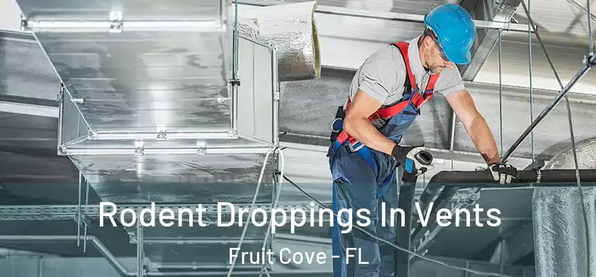 Rodent Droppings In Vents Fruit Cove - FL