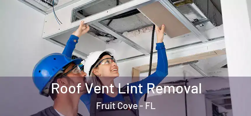 Roof Vent Lint Removal Fruit Cove - FL