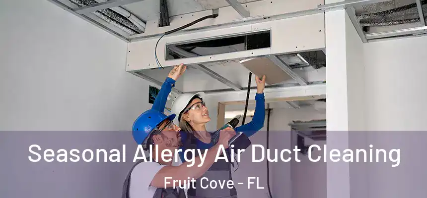 Seasonal Allergy Air Duct Cleaning Fruit Cove - FL