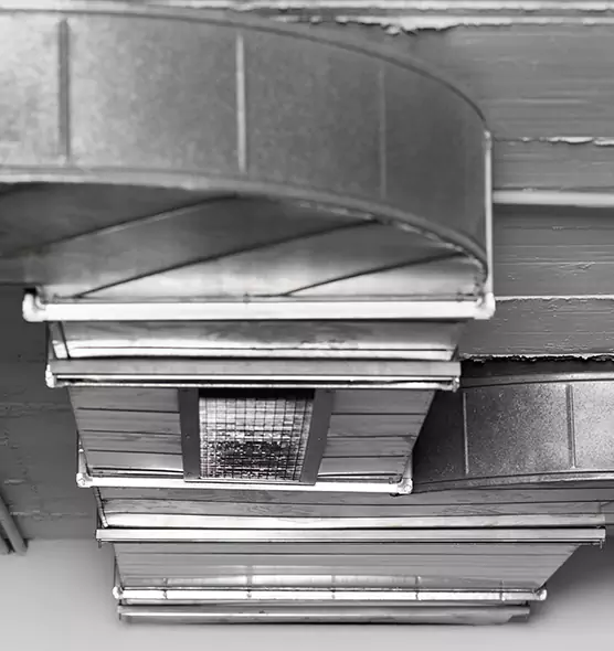 Professional Air Duct Pet Hair Removal in Fruit Cove, FL