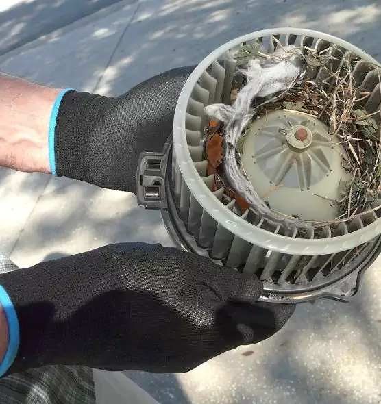 About Air Duct Rat Removal in Fruit Cove, FL