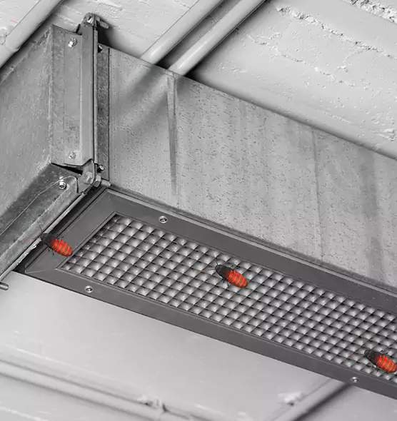 Affordable Insect Removal from Air Ducts in Fruit Cove, FL