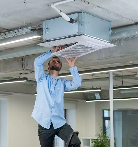 Advanced Rodent Droppings In Vents in Fruit Cove, FL