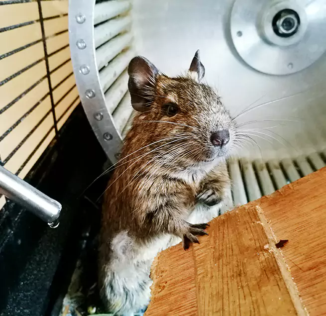 Why Homeowners & Businesses Trust Us Fruit Cove, FL?