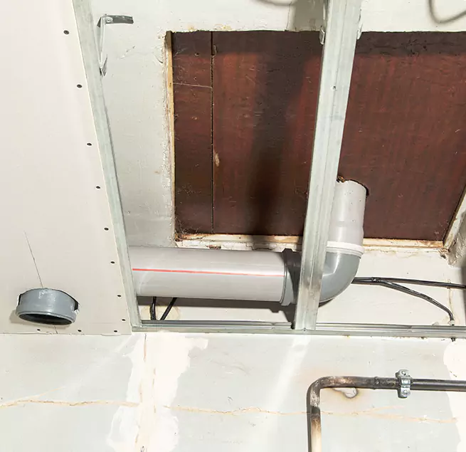 Why Homeowners & Businesses Trust Us in Fruit Cove, FL?