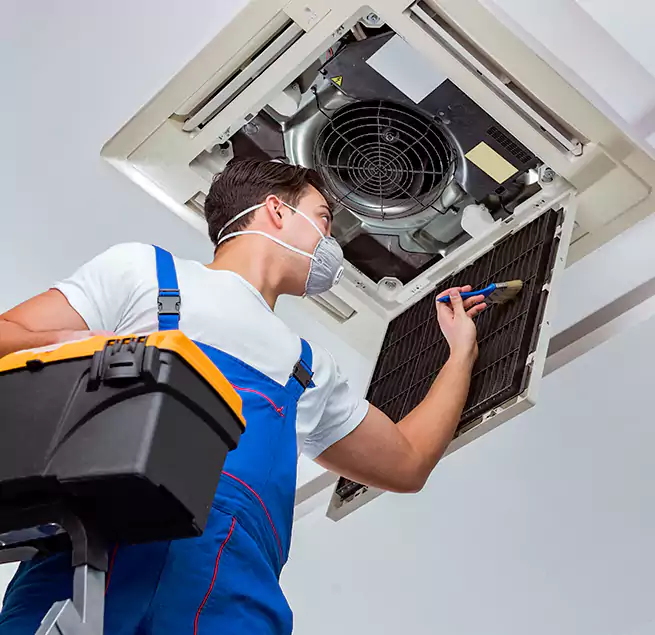 Why Homeowners & Businesses Trust Us in Fruit Cove, FL