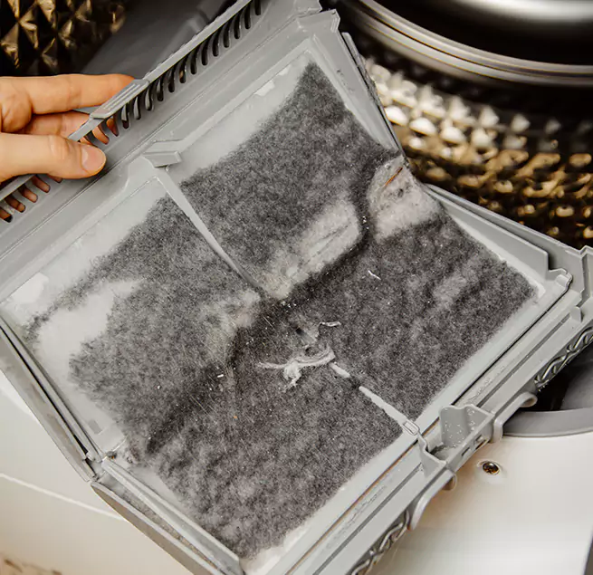  Why Homeowners & Businesses Trust Us Fruit Cove, FL?