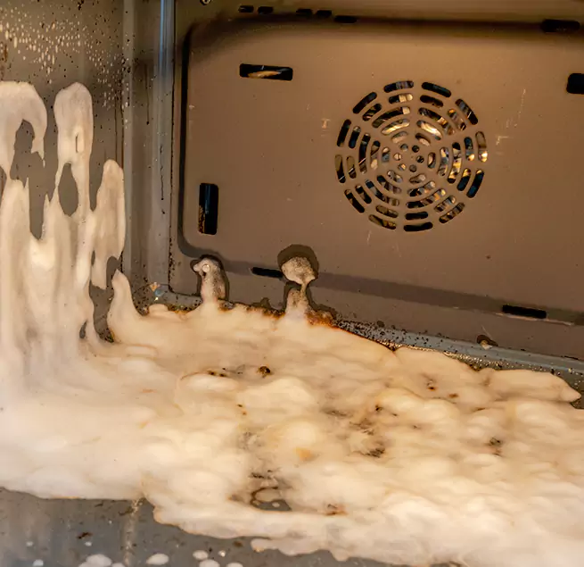 Why Homeowners & Businesses Trust Us in Fruit Cove, FL?