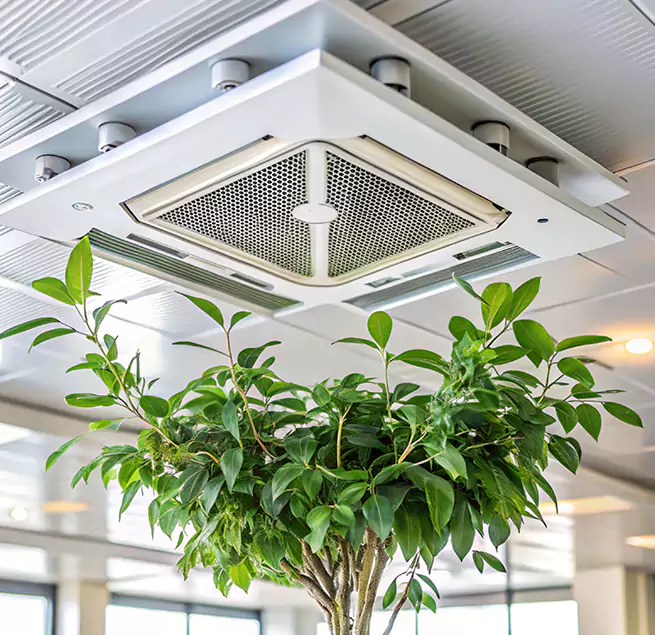 Why Homeowners & Businesses Trust Us in Fruit Cove, FL