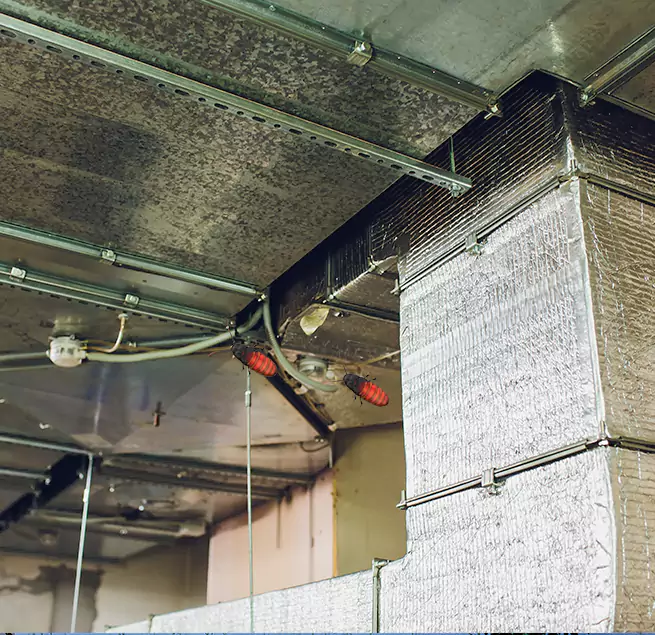 Why Homeowners & Businesses Trust Us Fruit Cove, FL?