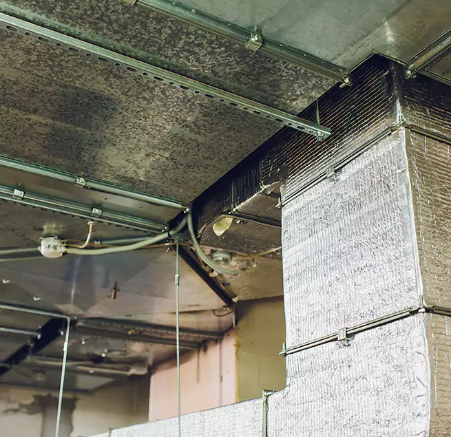 Why Homeowners & Businesses Trust Us in Fruit Cove, FL?