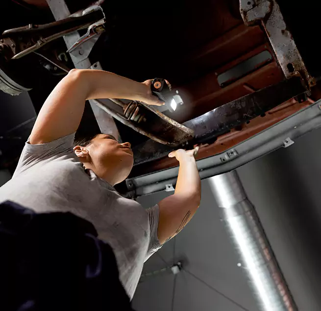 Why Homeowners & Businesses Trust Us Fruit Cove, FL