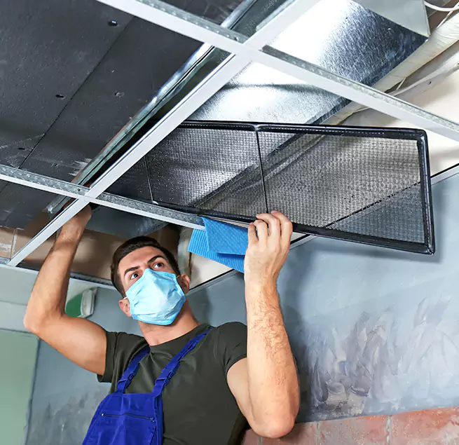  Why Homeowners Businesses Trust Us  in Fruit Cove, FL?