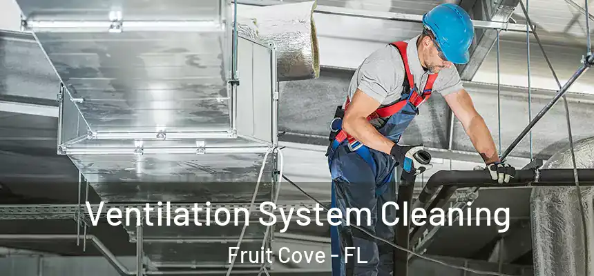 Ventilation System Cleaning Fruit Cove - FL