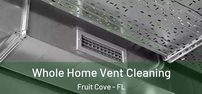  Whole Home Vent Cleaning Fruit Cove - FL