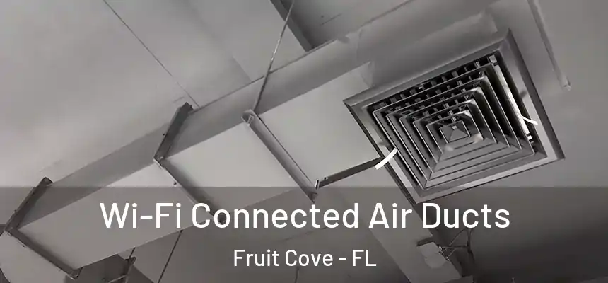 Wi-Fi Connected Air Ducts Fruit Cove - FL